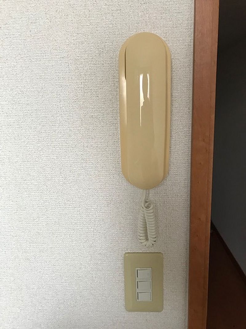 レオパレスピスティス セキュリティ
