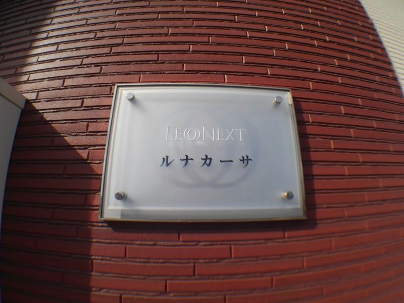 レオネクストルナカーサ その他