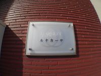 レオネクストルナカーサ その他