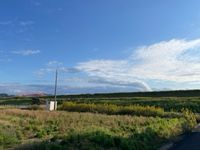 レオネクストカサデエスペランサ 周辺環境