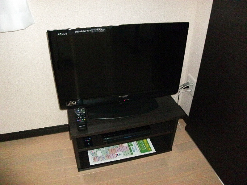 レオネクストリースランス その他