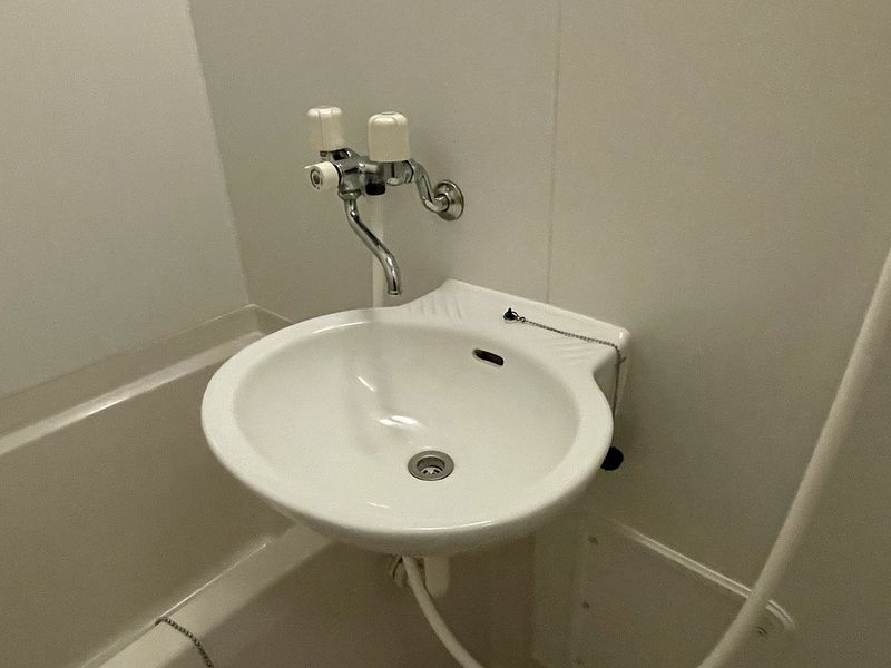 レオネクストステラ 洗面所