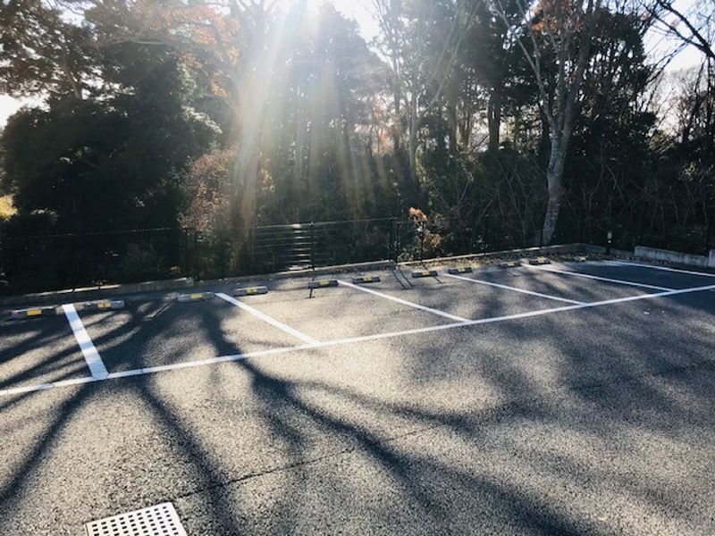 レオネクストコージィーコートⅠ 駐車場