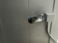 レオパレスコンパル唐湊　弐番館 共用部分