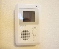 レオネクストミラージュ セキュリティ