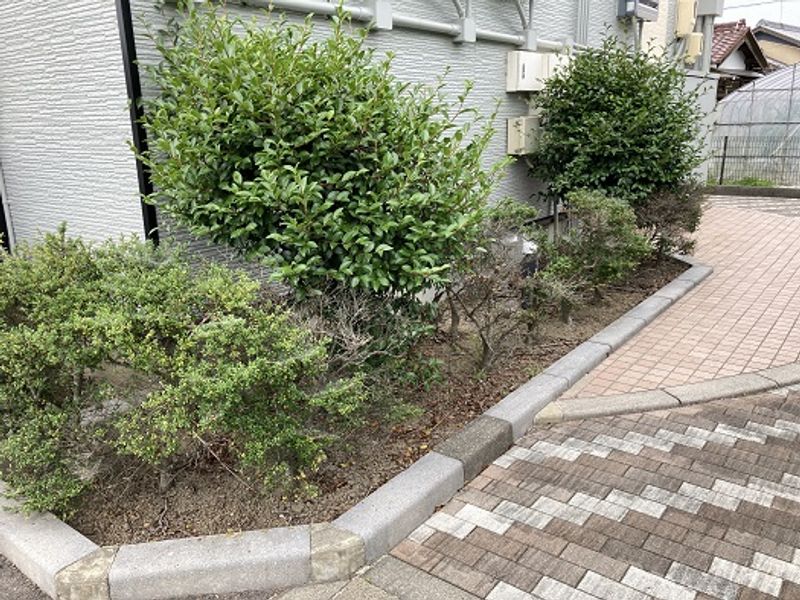 レオパレス島田 庭