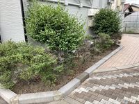 レオパレス島田 庭