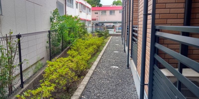 LEONEXT Ikusen 5 View