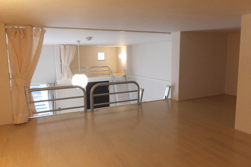 LEONEXT Plum West 기타