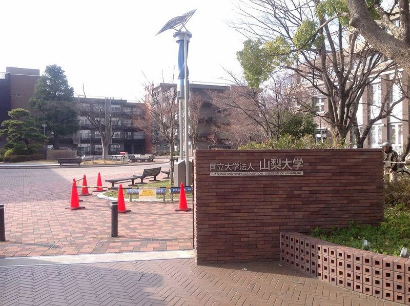 レオネクストベレタ 周辺環境
