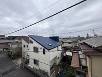 leopalace SHO 3 视野