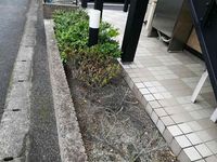 レオパレスあづま その他