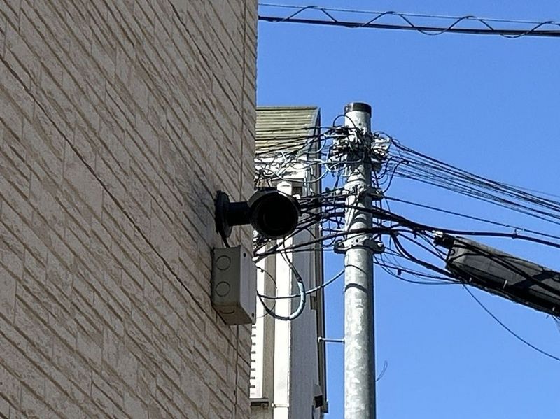 CLEINO Shirakaba 共用部分