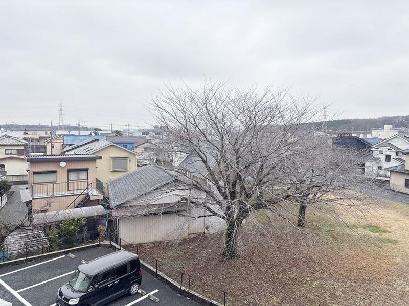 leopalace Court D'or View