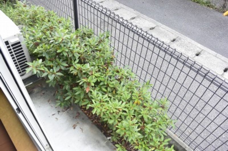 レオパレス川西 バルコニー