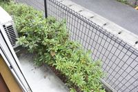 レオパレス川西 バルコニー