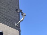 leopalace Christmas Rose Khu vực chung