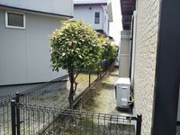 レオパレス花畑 その他