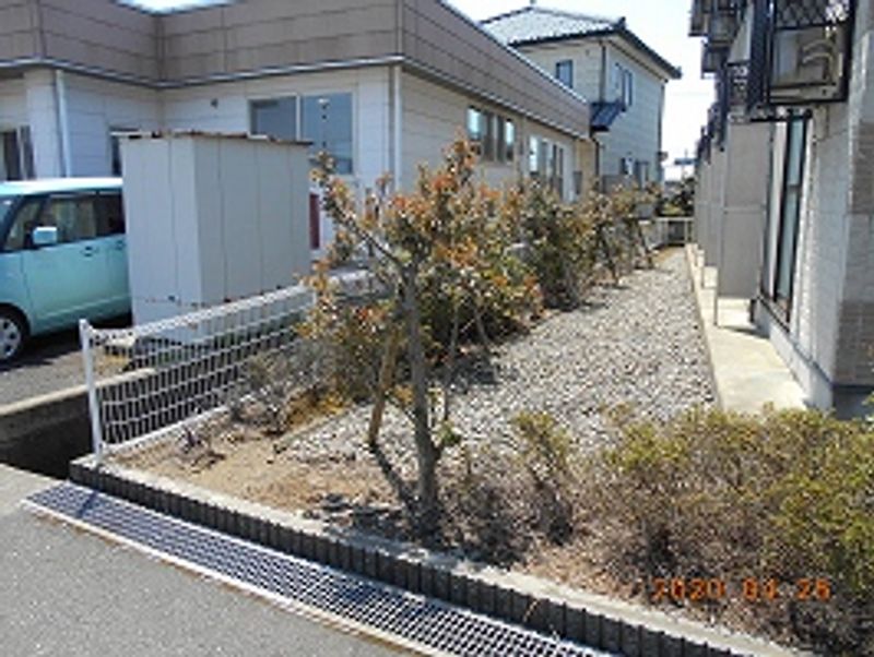 レオパレスルミナリエ 庭
