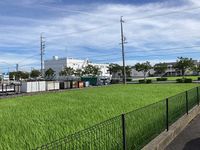 レオパレスＲＵＲＩＡ 眺望