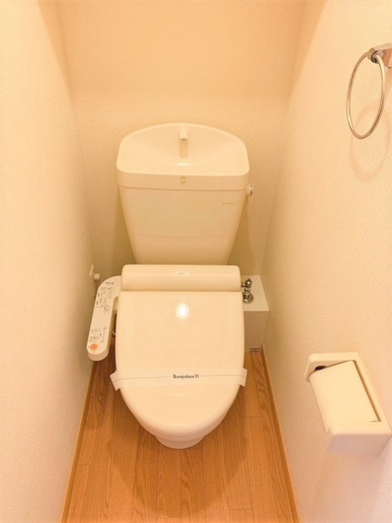 leopalace Water Wave Toilet