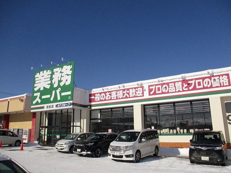 レオパレスオールドリバー清田 周辺環境
