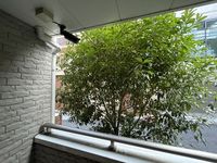 LEONEXT Daikanyama 视野