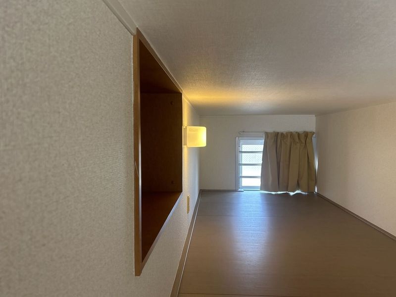 leopalace Pinus Khác