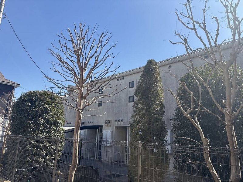 レオネクストグランツ藤２４ 外観