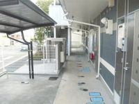 レオネクスト芝久保 共用部分