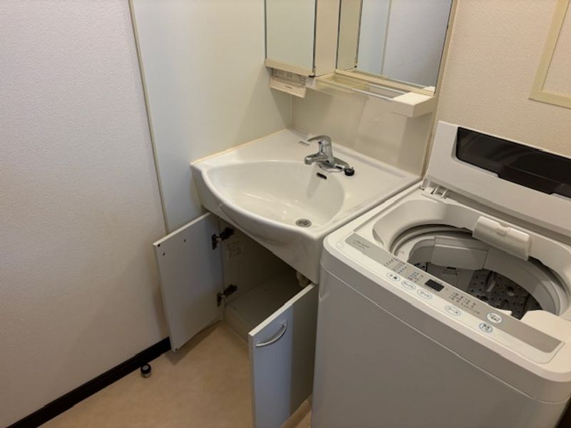 LEONEXT Happiness Sink