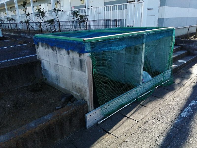 leopalace Legume 기타