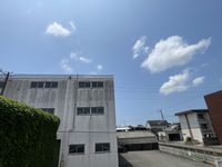 leopalace Green Pia Ota 视野