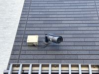 CLEINO Annabelle Khu vực chung