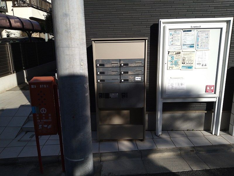 CLEINO T Shirasagi Other