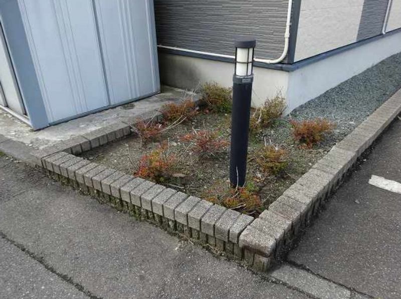 レオパレスマ　レーヴ 庭