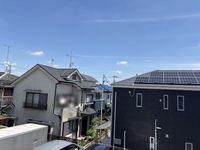 leopalace La Vie Doll III 视野