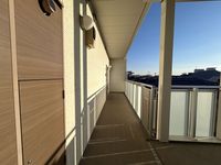 LEONEXT Chrysans Other