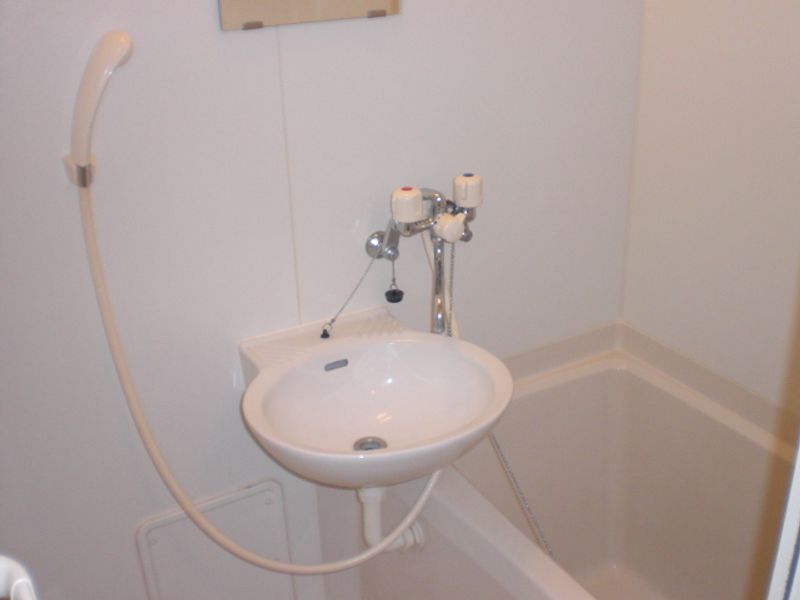 leopalace Acoustic Sink