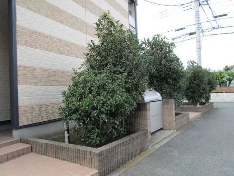 レオパレスサンコートＭ 庭