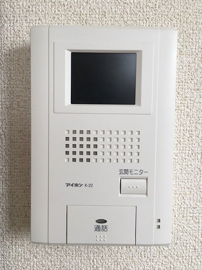 レオネクストピスティス その他