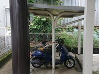 レオパレスウィステリア 共用部分