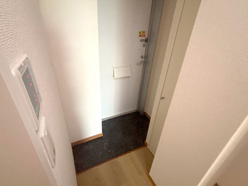 レオパレスパレヴィアーノ 玄関