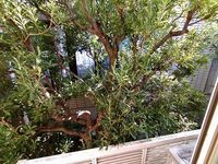 レオパレスヴィラ　ゼルコバ 眺望