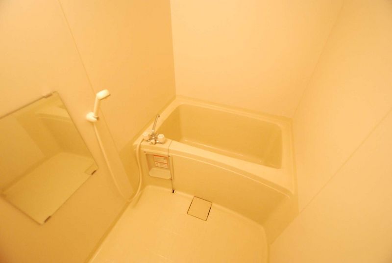 leopalace Emu Field II Bathroom