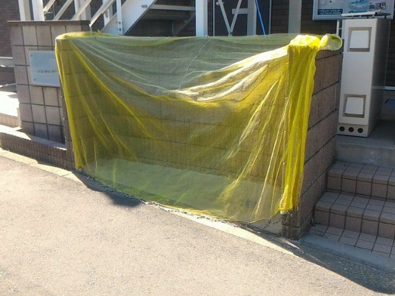 レオネクストパステーク 共用部分