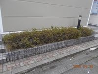 レオパレスエストント 庭