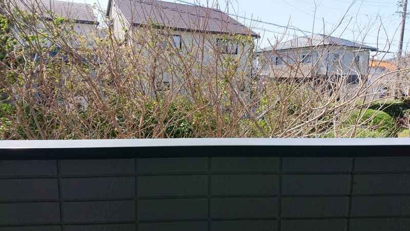 レオパレス花車 眺望
