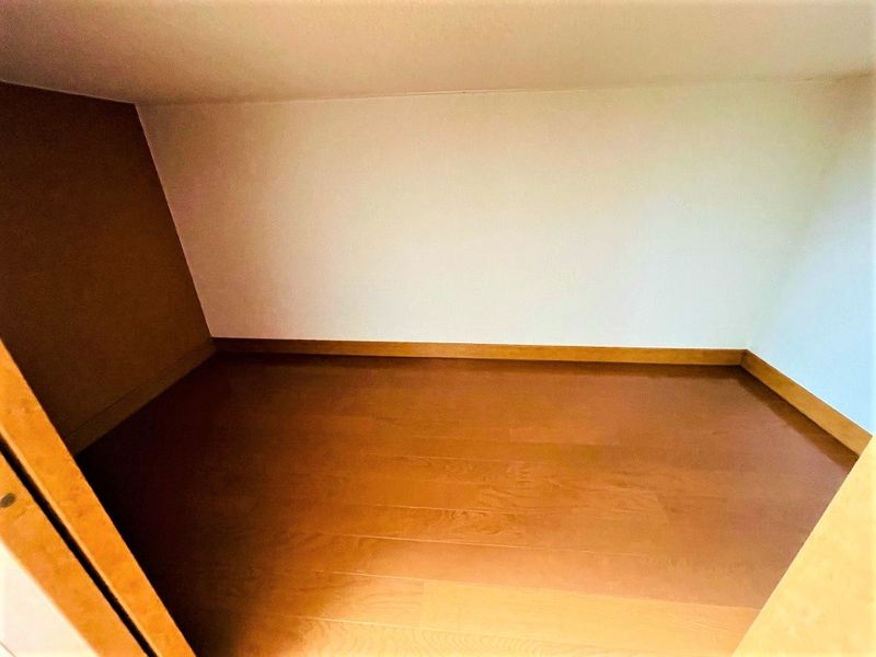 レオパレスマンデルブロ 収納