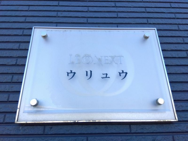 レオネクストウリュウ その他